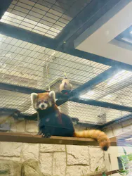 天王寺動物園に投稿された画像（2026/9/1）