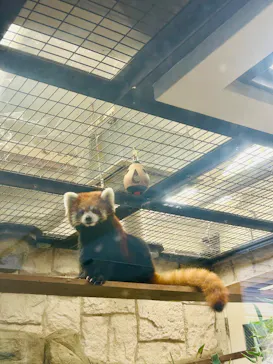 天王寺動物園に投稿された画像（2026/9/1）