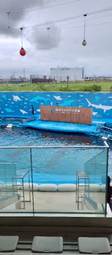 仙台うみの杜水族館に投稿された画像（2026/9/1）