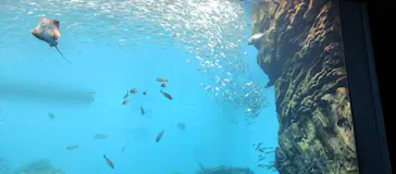 仙台うみの杜水族館に投稿された画像（2026/9/1）