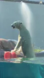 天王寺動物園に投稿された画像（2026/9/2）