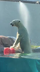 天王寺動物園に投稿された画像（2026/9/1）