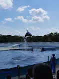 京都水族館に投稿された画像（2026/9/2）