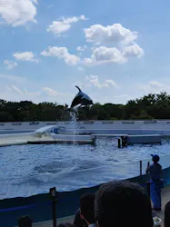 京都水族館に投稿された画像（2026/9/1）