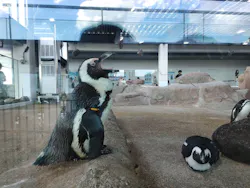京都水族館に投稿された画像（2026/9/1）