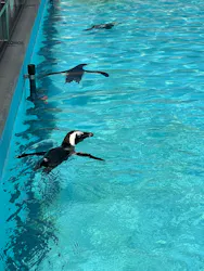 掛川花鳥園に投稿された画像（2026/9/2）