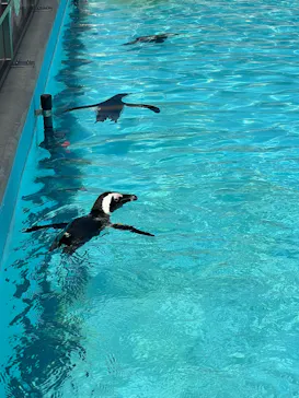 掛川花鳥園に投稿された画像（2026/9/2）