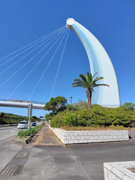 島根県立 しまね海洋館に投稿された画像（2026/9/2）