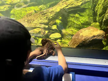 滋賀県立琵琶湖博物館に投稿された画像（2026/9/2）