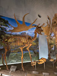 福井県立恐竜博物館に投稿された画像（2026/9/2）