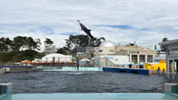 越前松島水族館に投稿された画像（2026/9/2）