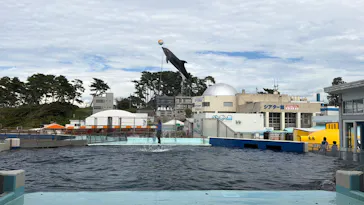 越前松島水族館に投稿された画像（2026/9/2）