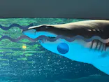 しながわ水族館に投稿された画像（2026/9/2）