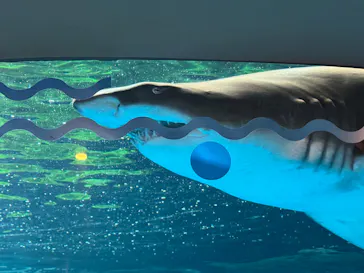 しながわ水族館に投稿された画像（2026/9/2）