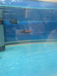 名古屋港水族館に投稿された画像（2026/9/2）