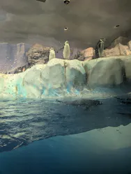 名古屋港水族館に投稿された画像（2026/9/2）