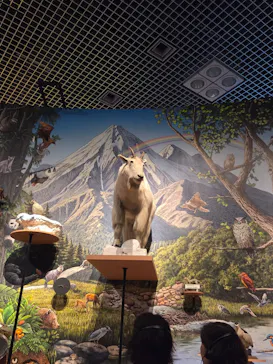 特別展「いきもの超ワールド展　国立科学博物館×ダーウィンが来た！」（国立科学博物館）に投稿された画像（2026/9/2）