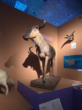 特別展「いきもの超ワールド展　国立科学博物館×ダーウィンが来た！」（国立科学博物館）に投稿された画像（2026/9/2）