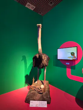 特別展「いきもの超ワールド展　国立科学博物館×ダーウィンが来た！」（国立科学博物館）に投稿された画像（2026/9/2）