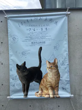 尾道市立美術館に投稿された画像（2026/9/2）