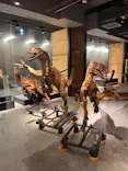 福井県立恐竜博物館に投稿された画像（2026/9/2）