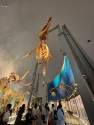 福井県立恐竜博物館に投稿された画像（2026/9/2）