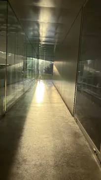 金沢21世紀美術館に投稿された画像（2026/9/2）