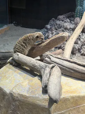 広島もとまち水族館に投稿された画像（2026/9/3）