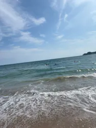 MALIBU POINT（マリブポイント）に投稿された画像（2026/9/3）