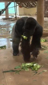 名古屋市東山動植物園に投稿された画像（2026/9/3）