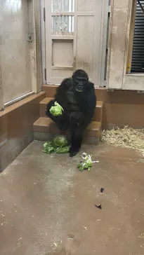 名古屋市東山動植物園に投稿された画像（2026/9/3）