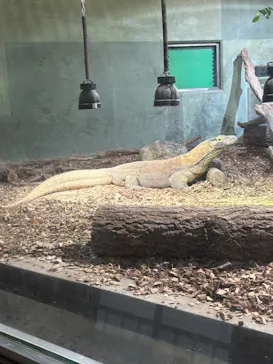名古屋市東山動植物園に投稿された画像（2026/9/3）