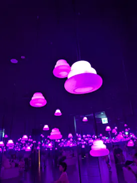 うんこミュージアム YOKOHAMA BAYに投稿された画像（2026/9/3）
