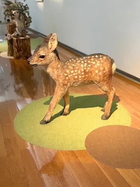尾道市立美術館に投稿された画像（2026/9/3）