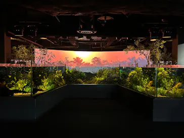 カワスイ 川崎⽔族館に投稿された画像（2026/9/3）