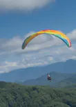 パラグライダーパーク青木に投稿された画像（2026/9/3）