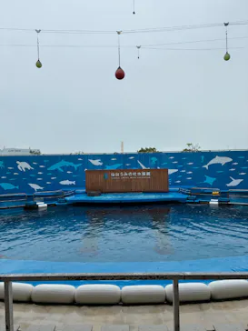 仙台うみの杜水族館に投稿された画像（2026/9/3）