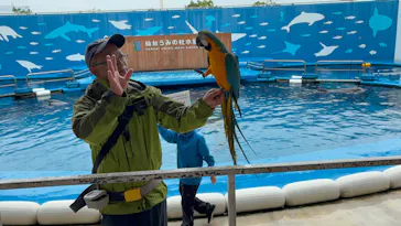 仙台うみの杜水族館に投稿された画像（2026/9/3）