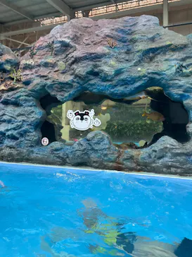 スパリゾートハワイアンズに投稿された画像（2026/9/3）