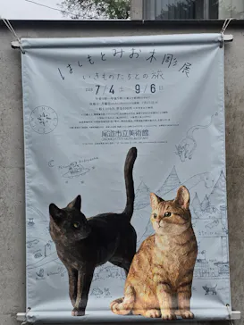 尾道市立美術館に投稿された画像（2026/9/4）