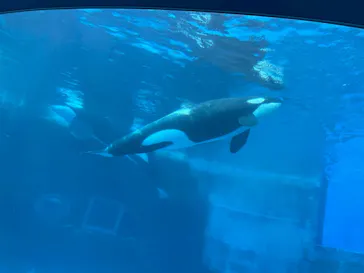 名古屋港水族館に投稿された画像（2026/9/4）