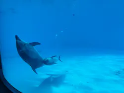 名古屋港水族館に投稿された画像（2026/9/4）