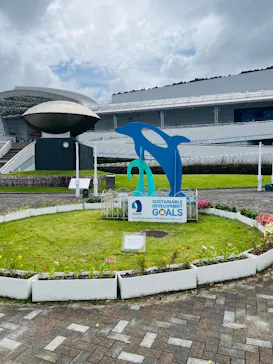名古屋港水族館に投稿された画像（2026/9/4）