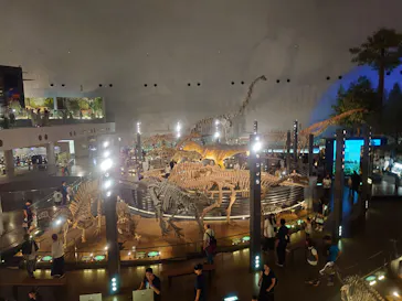 福井県立恐竜博物館に投稿された画像（2026/9/4）