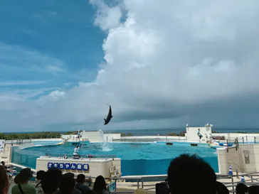 沖縄美ら海水族館に投稿された画像（2026/9/4）