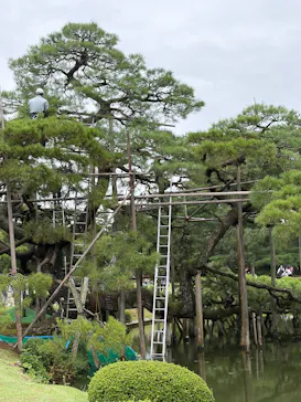 兼六園に投稿された画像（2026/9/4）