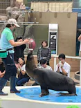 サンシャイン水族館に投稿された画像（2026/9/4）