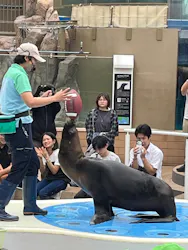 サンシャイン水族館に投稿された画像（2026/9/4）