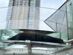 サンシャイン水族館に投稿された画像（2026/9/4）