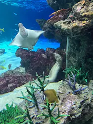 サンシャイン水族館に投稿された画像（2026/9/4）
